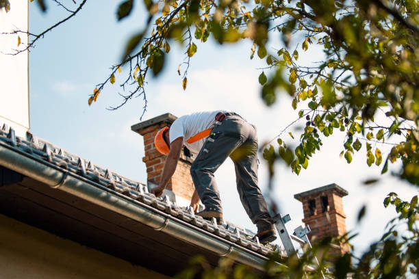 Best Roof Maintenance Services  in Winfield, IA