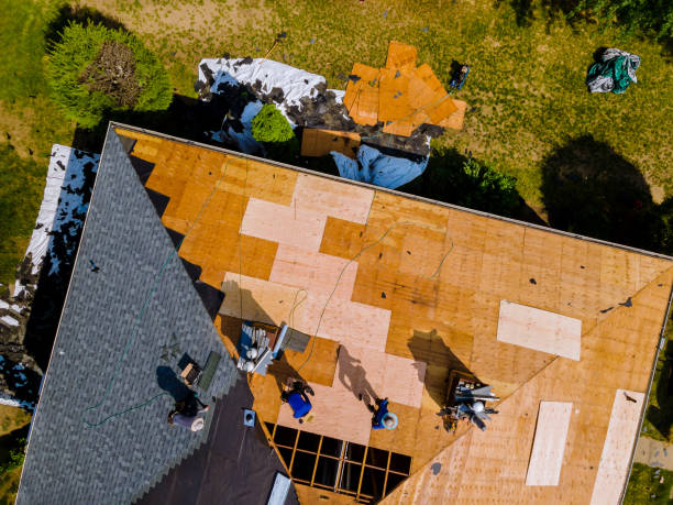 Best Roof Replacement Cost  in Winfield, IA